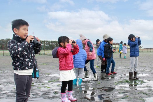 三番瀬で渡り鳥を観察しよう！ 